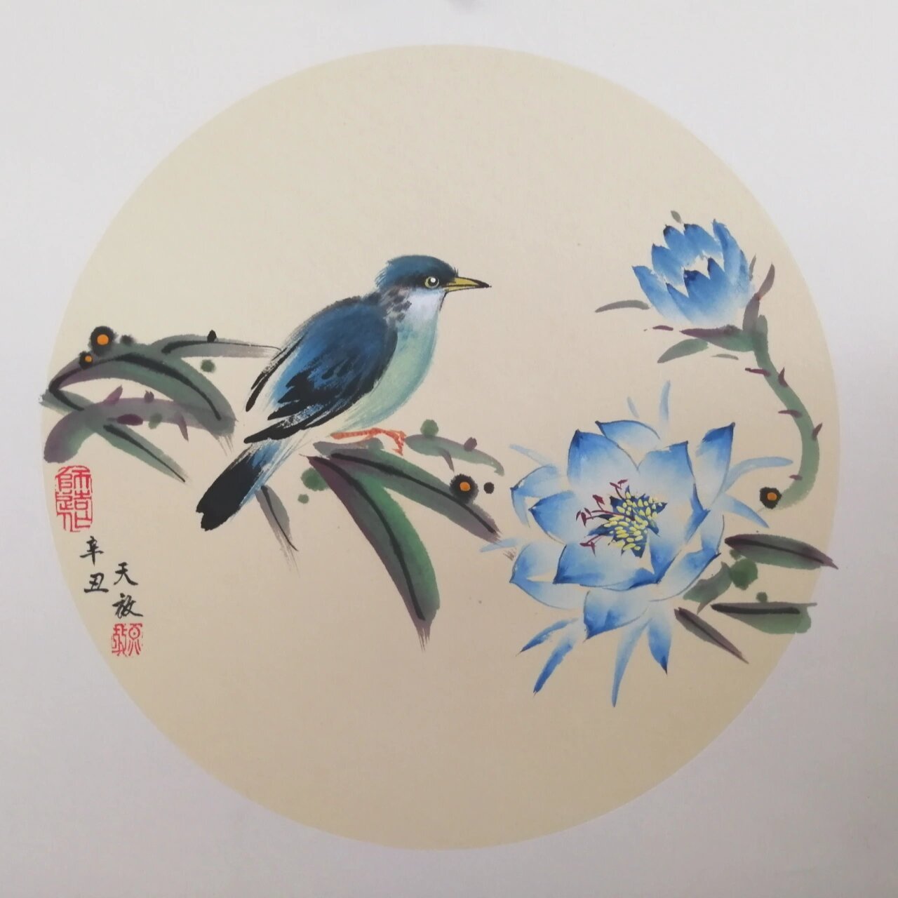 国画·百鸟百卉30:布谷鸟&昙花 8215布谷鸟:学名大杜鹃,古有"杨花