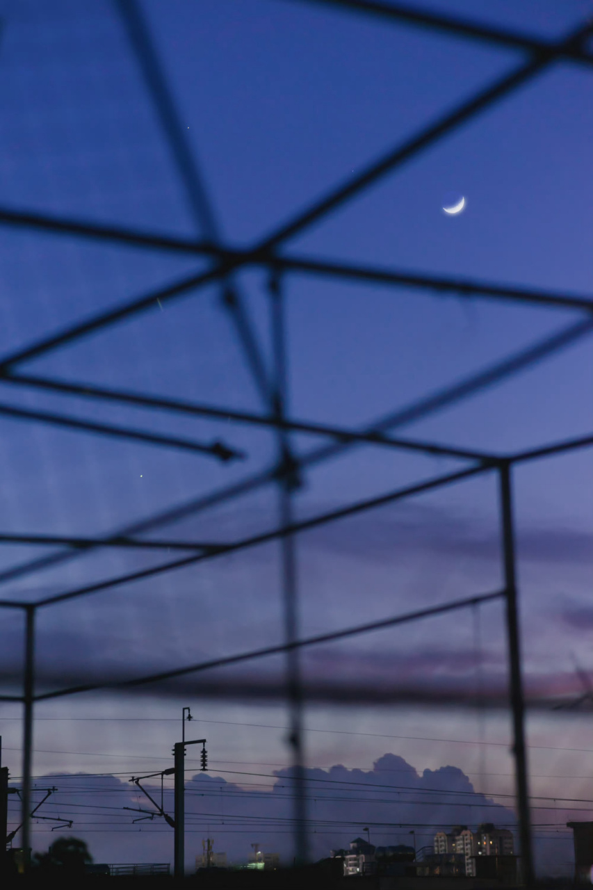 【胳膊拧不过大腿】我拧不过,那我就不拧了,我也不强求,我心疼我的