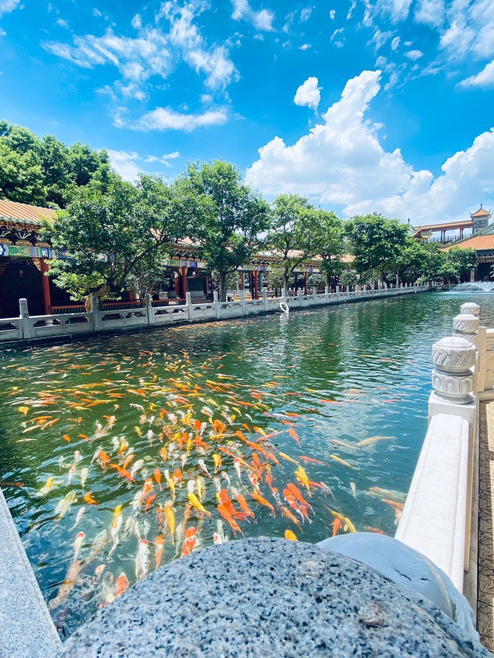 那天半夜在大众点评刷遛娃好去处,突然刷到番禺南粤苑!