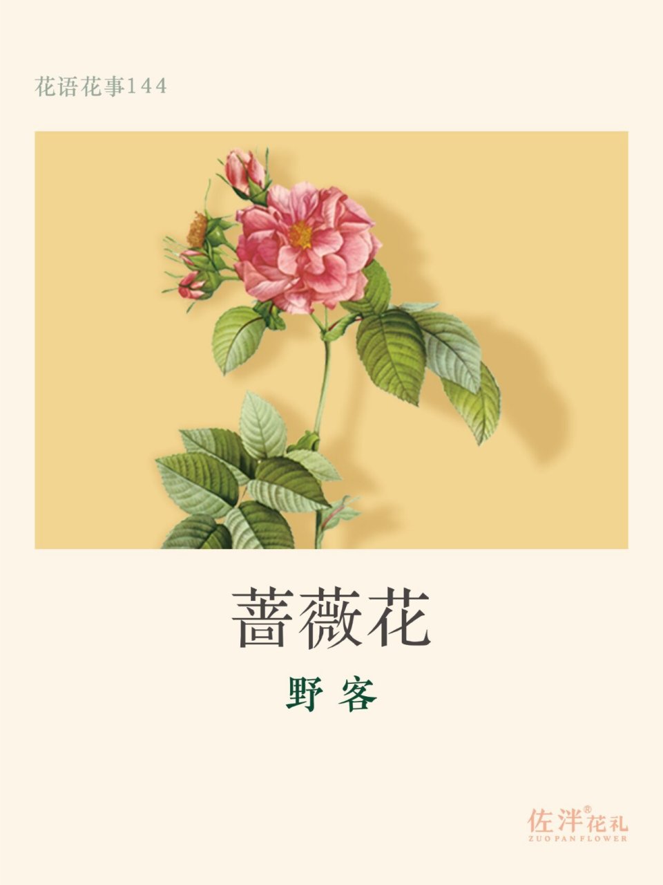 花语花事144