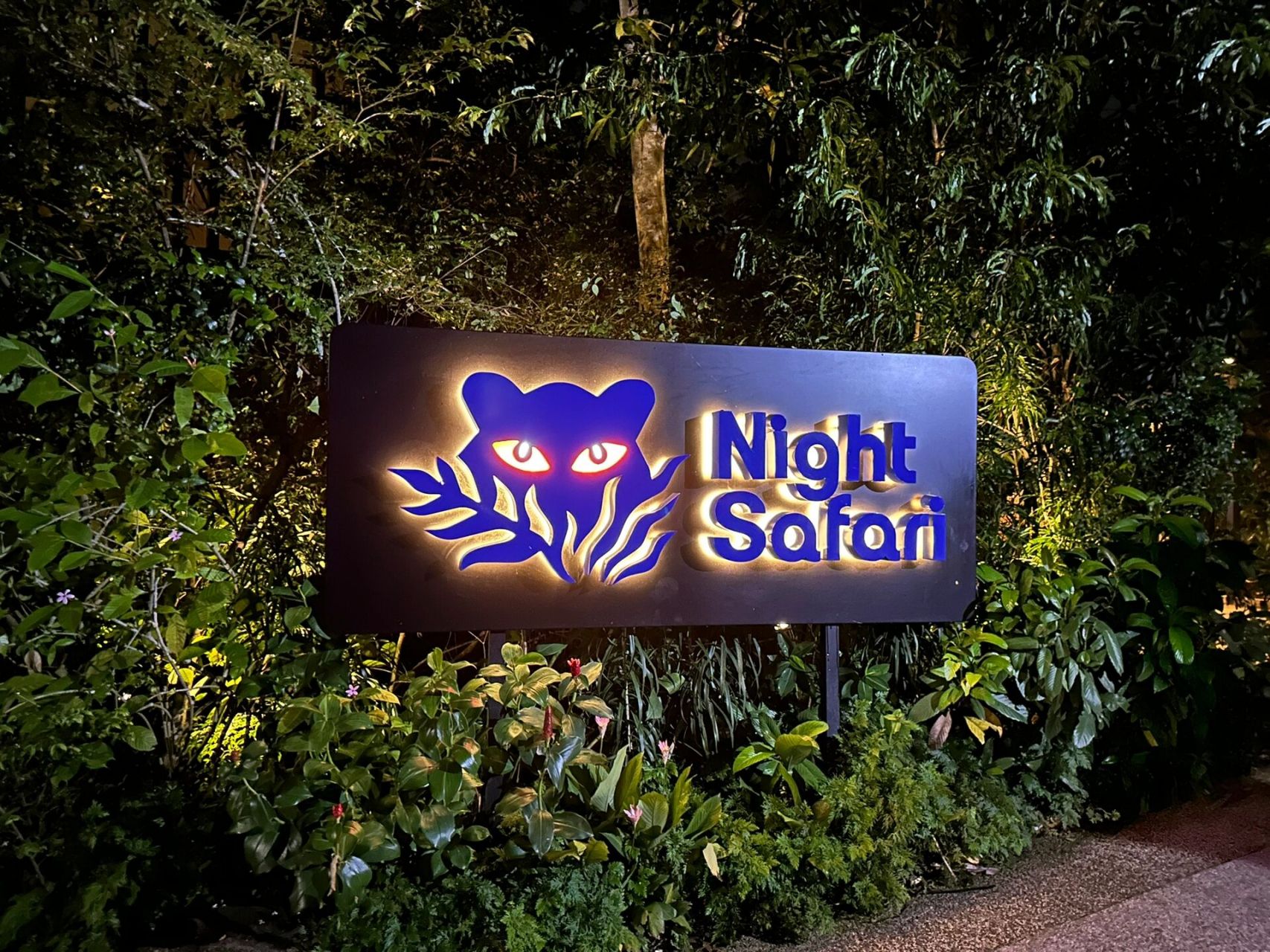 9492新加坡夜间动物园攻略——16615出发篇 新加坡夜间动物园