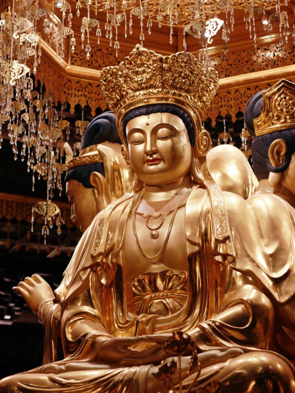 普陀山观音法界|愿你所求皆所愿 去普陀山就一定要去的观音法界 全程