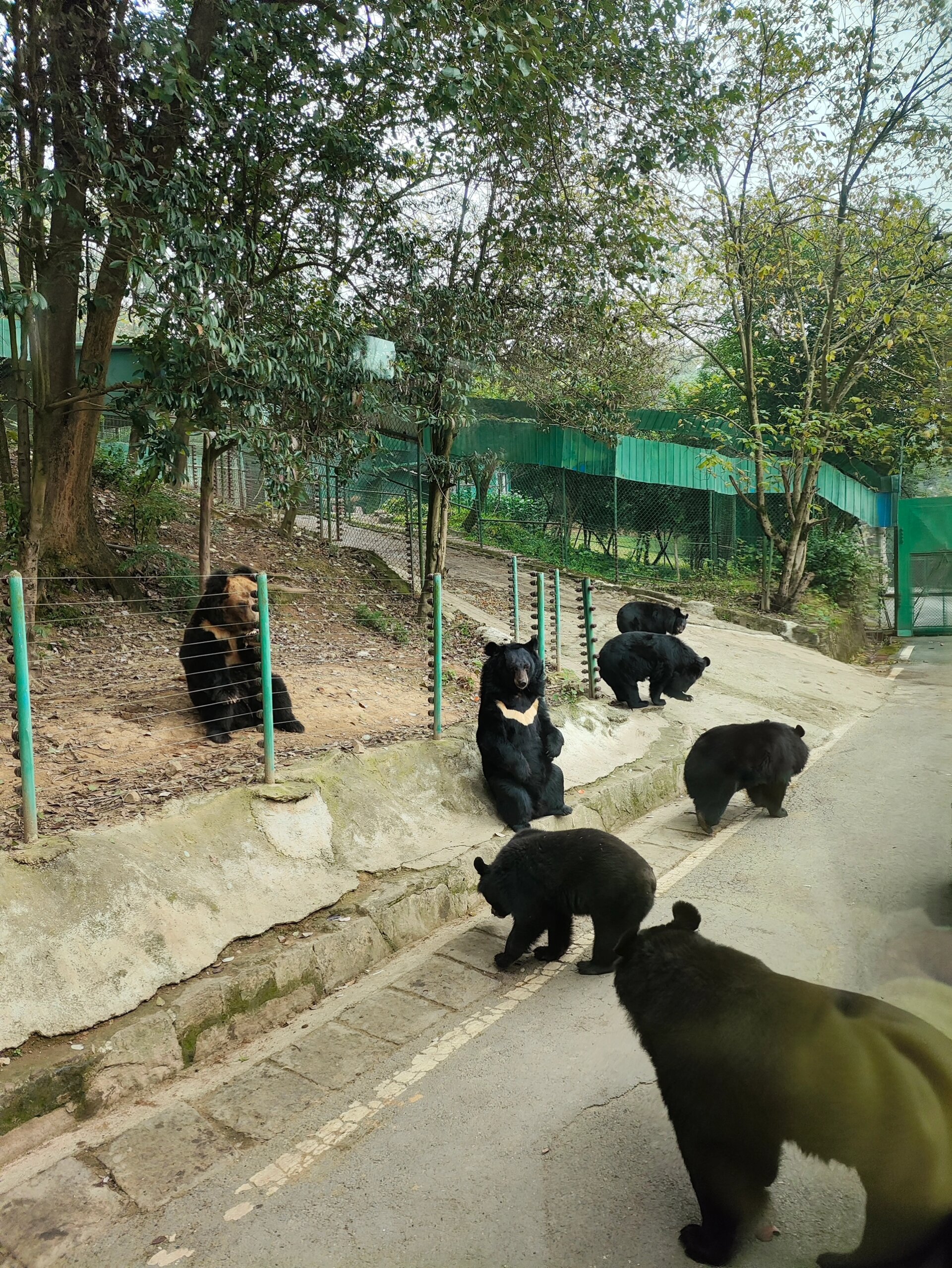 重庆周边游之—永川野生动物园