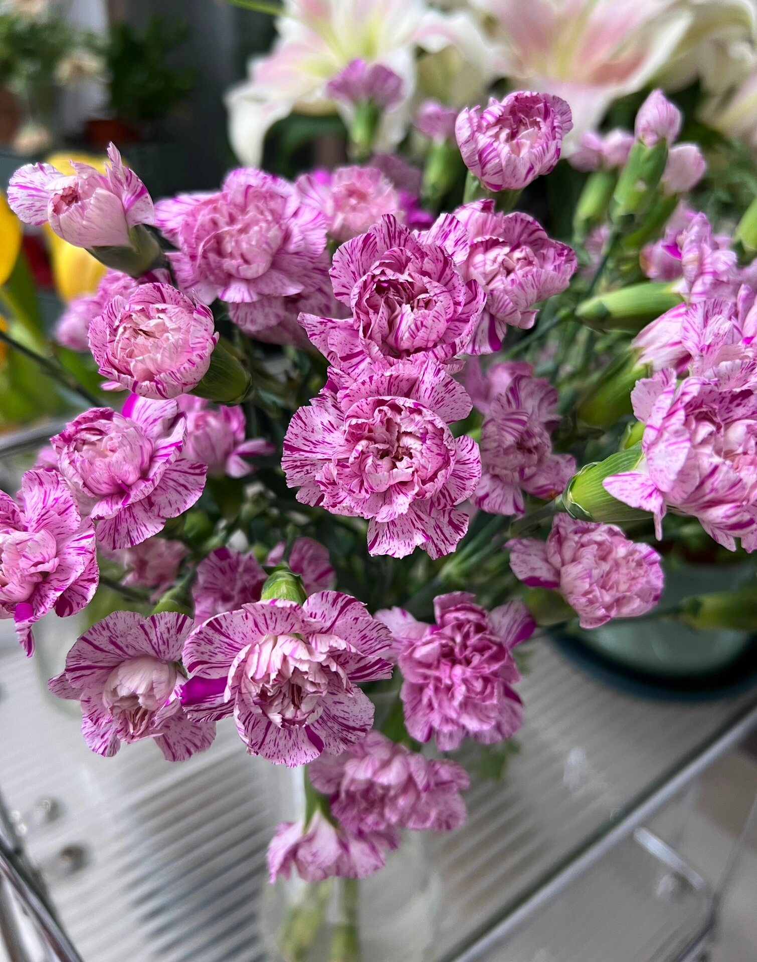 康乃馨|多头棒棒糖  58. 多头棒棒糖.