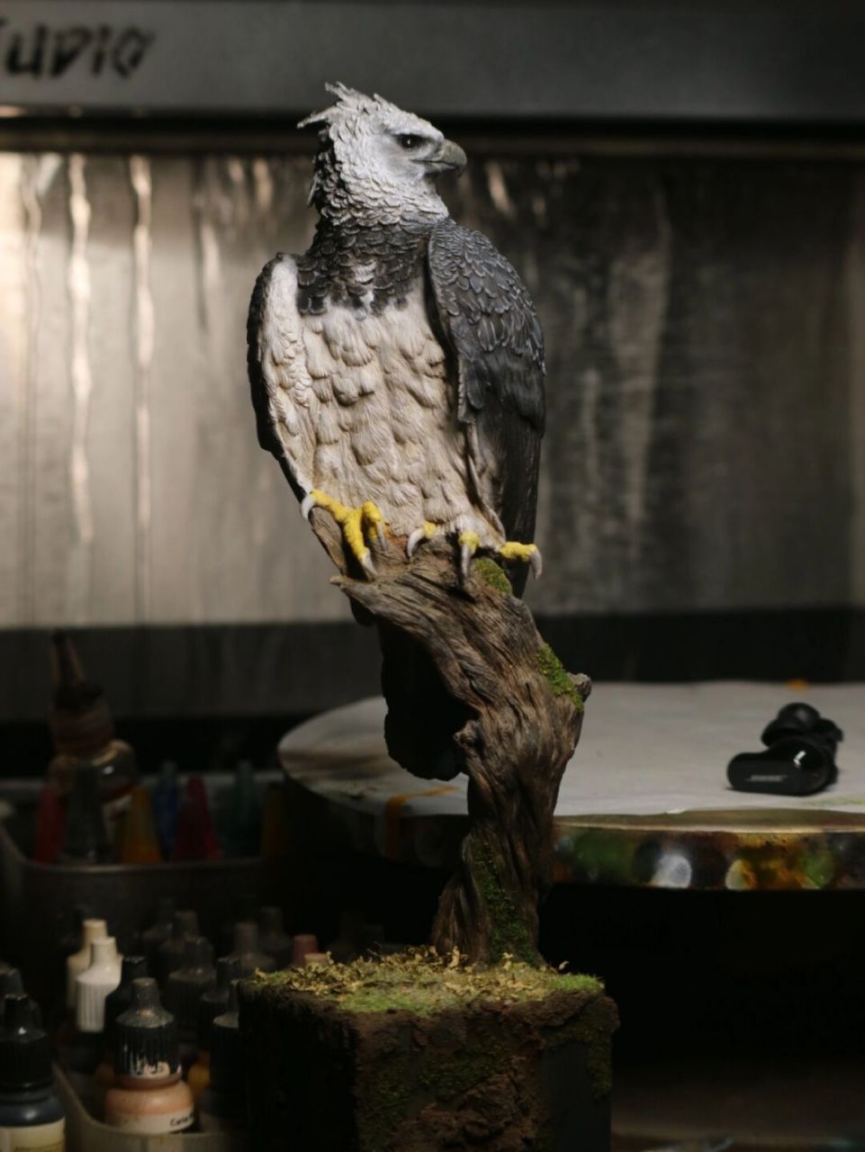 我对鹰喙比较满意 进度50,我对哈佩雕的喙部也就是嘴,比较满意,感觉涂