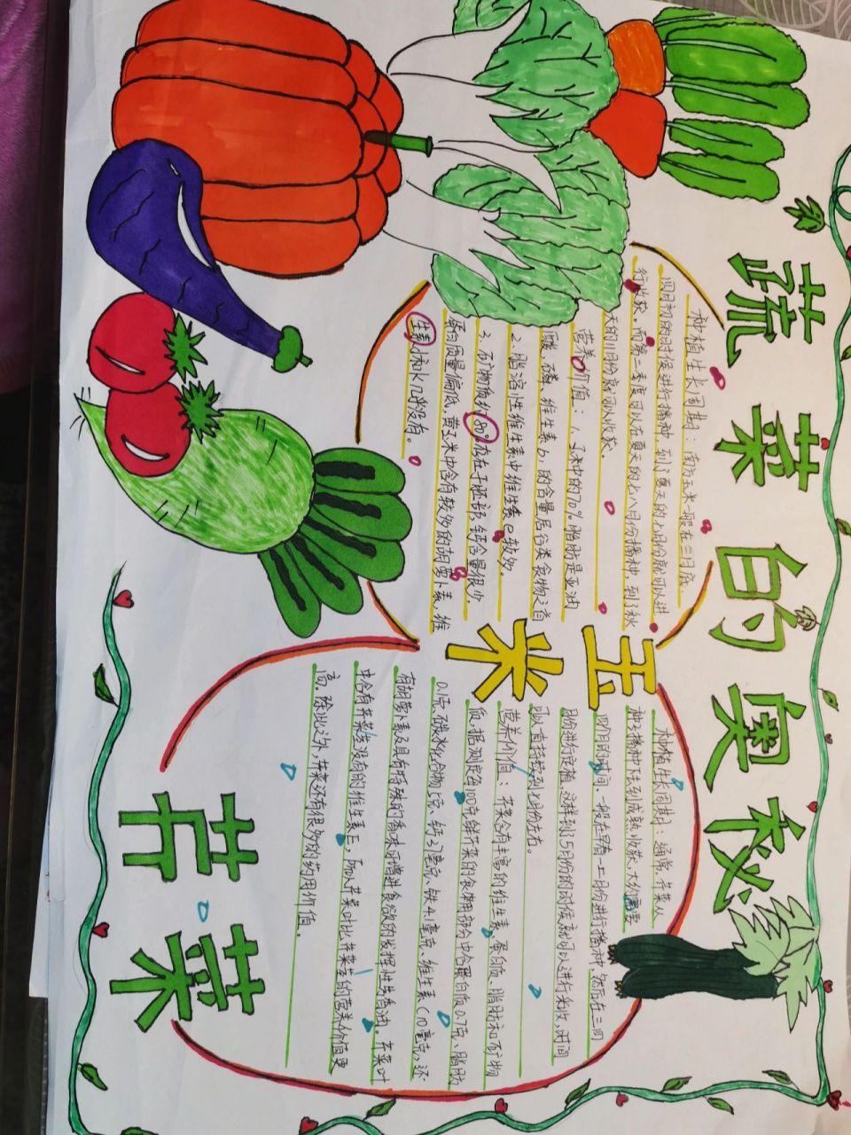 二年级认识蔬菜手抄报图片