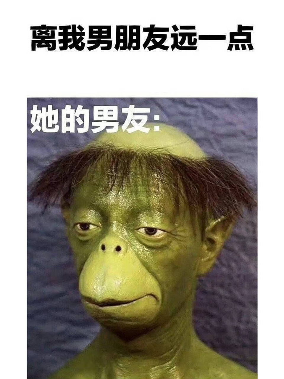 河童男友～ 包文婧,这盛世如你所愿