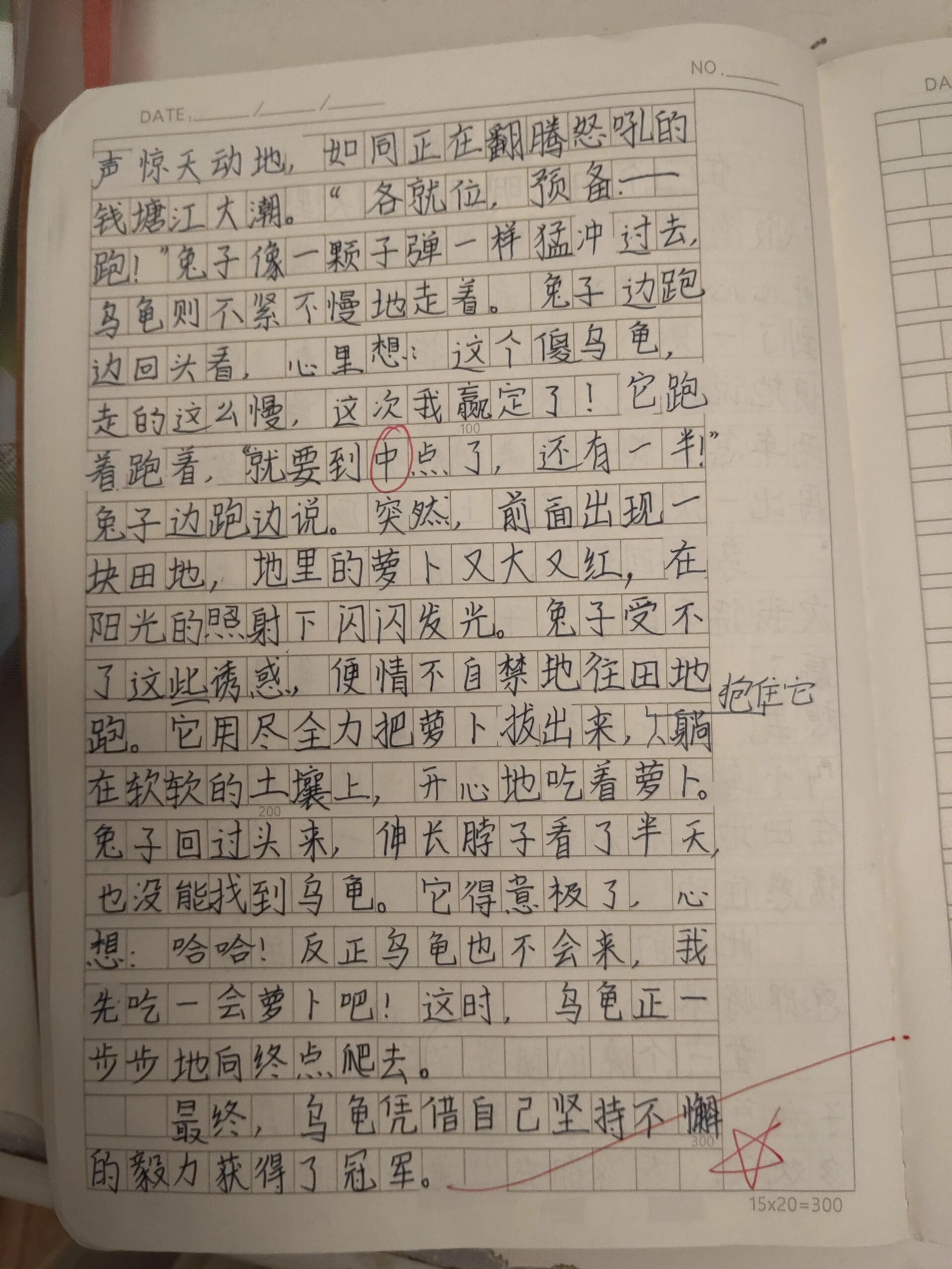 故事新编作文龟兔赛跑图片