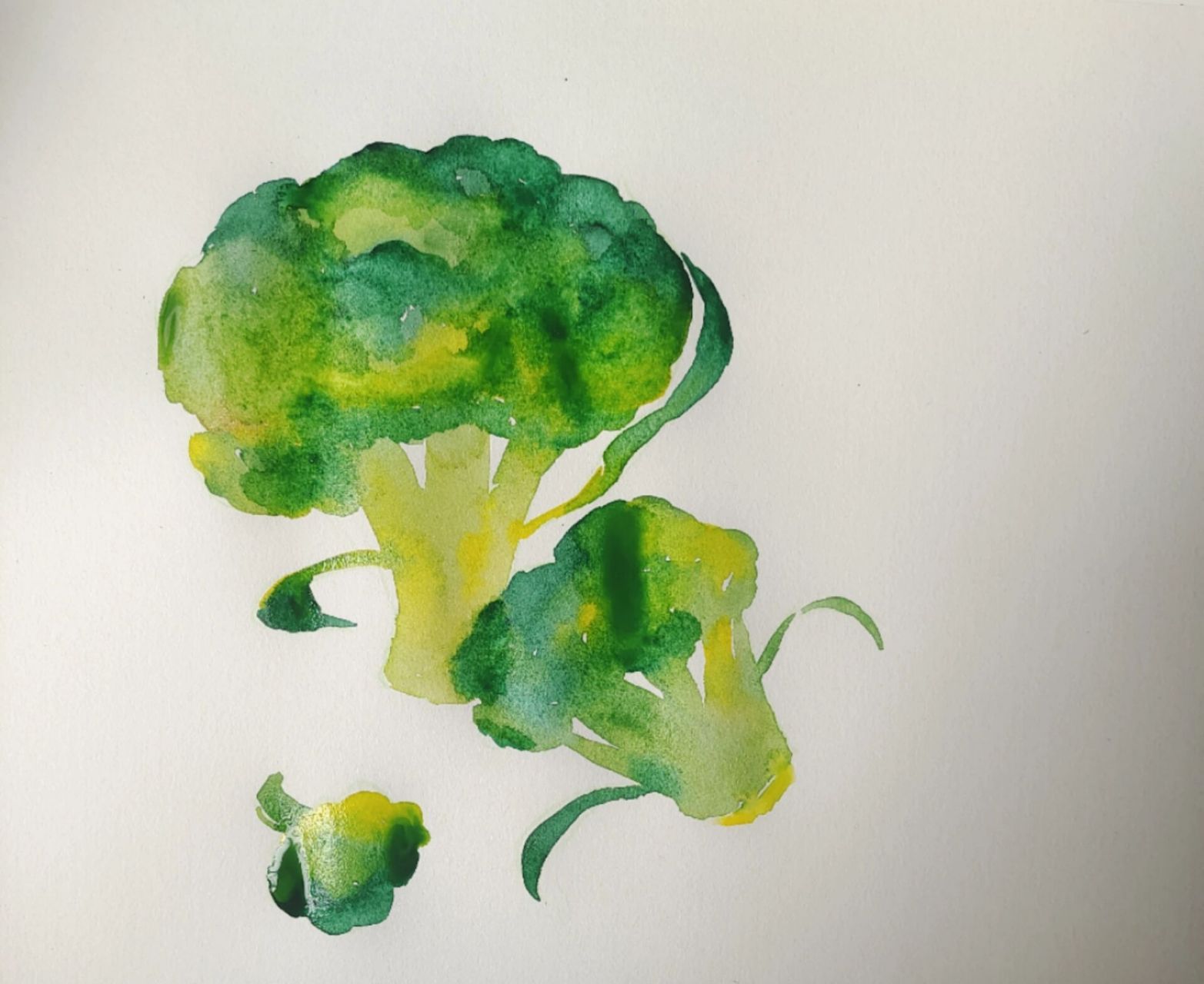 《西兰花不是花》儿童创意画 西蓝花是一种造型非常独特的蔬菜,营养