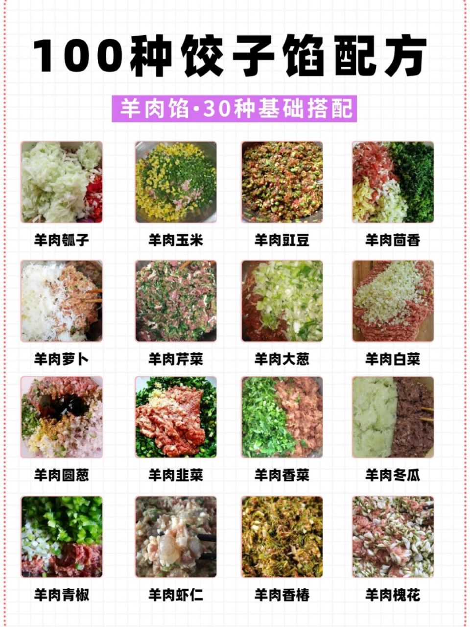 100种饺子馅配方9215羊肉馅30种基础搭配 9215整理100种饺子