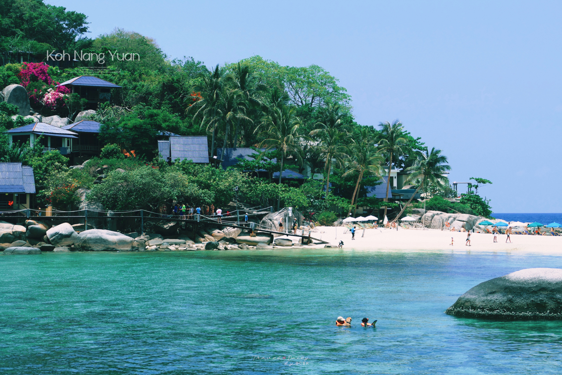 南园岛紧靠着涛岛,从涛岛过去快艇半小时.