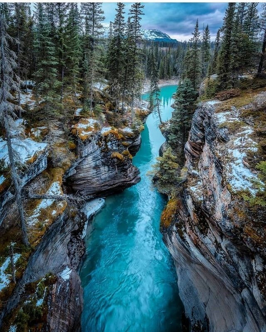 洛基山脉90最大型的国家公园|贾斯珀92 贾斯珀国家公园90