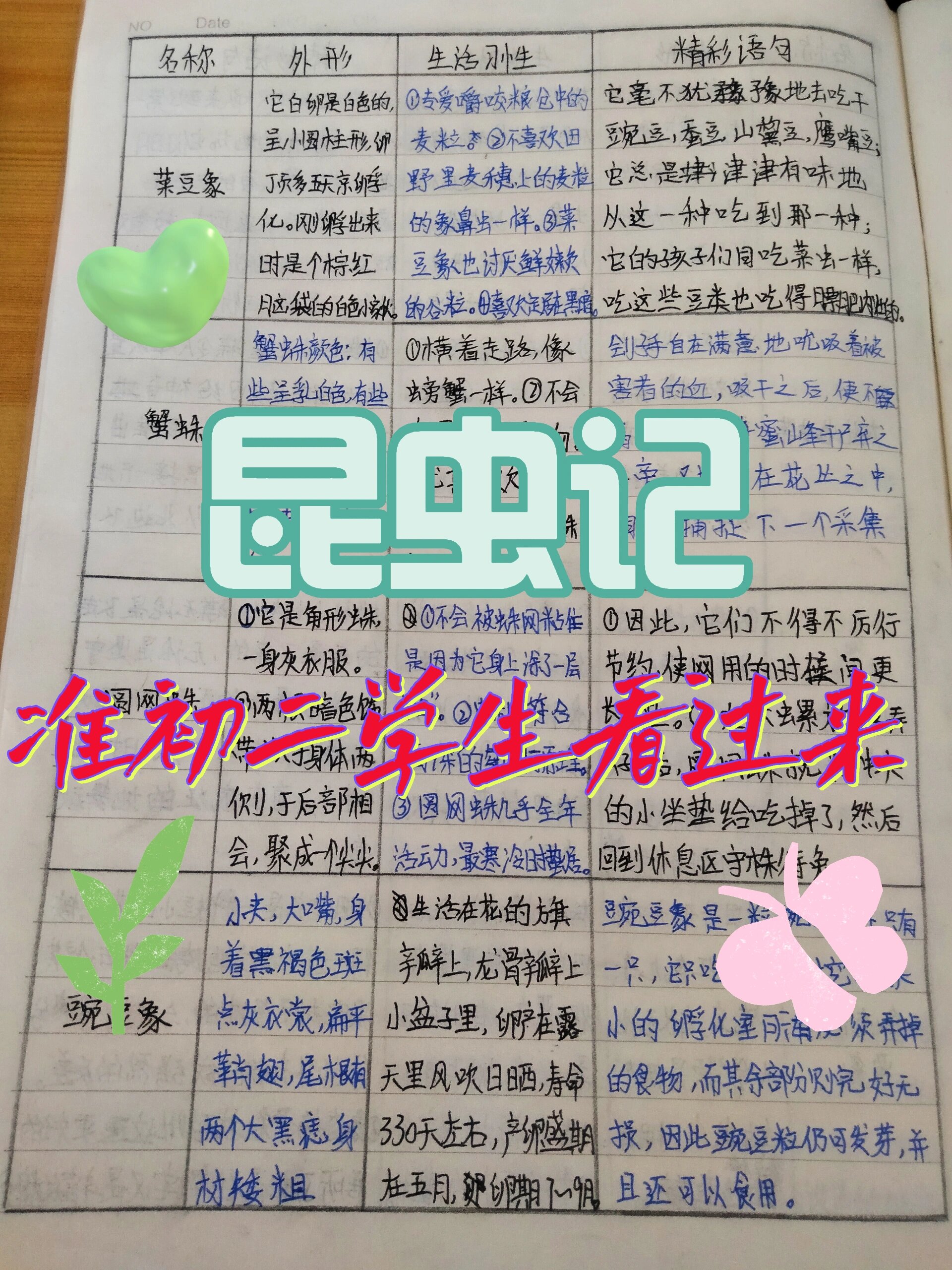 昆虫记昆虫档案    今天更的是:菜豆象,蟹蛛,圆网蛛,豌豆象.
