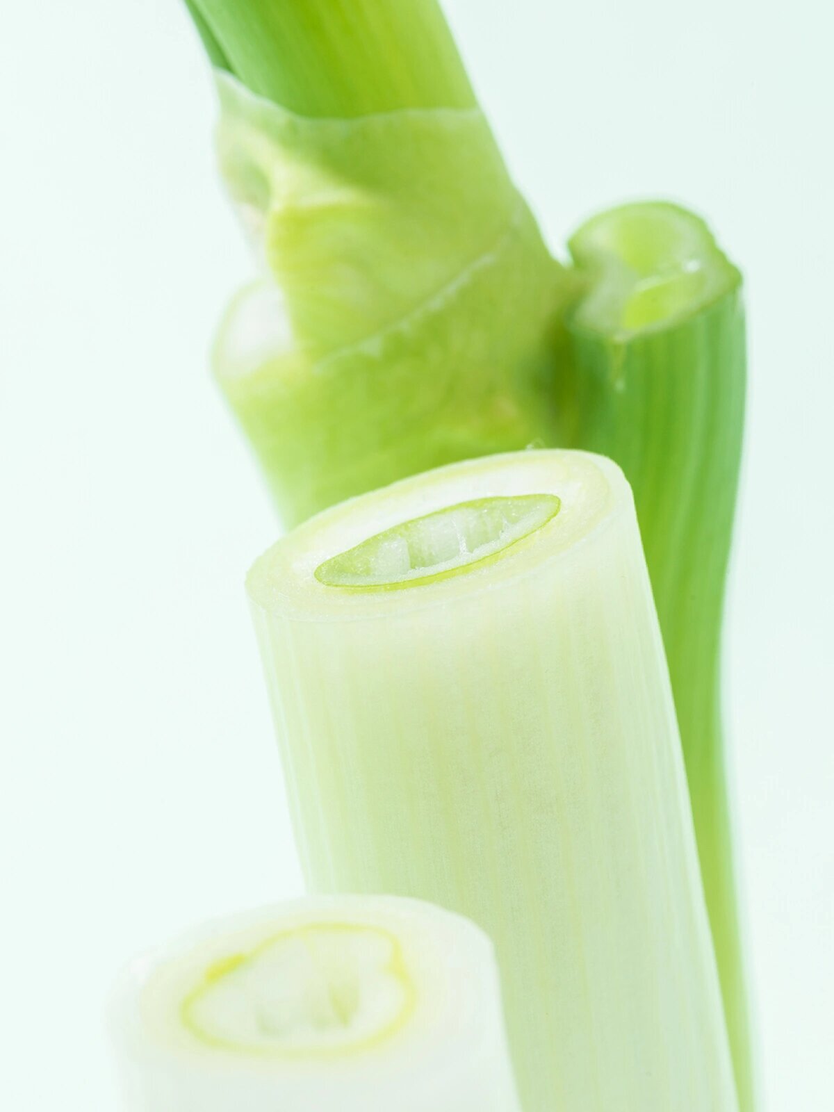 静物摄影 | 大葱 左侧十点钟方向一盏灯,右侧五点方向一盏灯 浅绿色