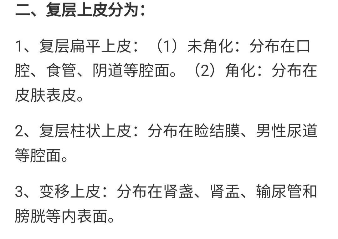 被覆上皮的分类图片图片