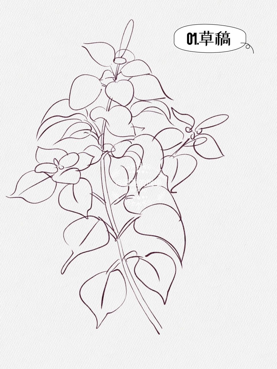 原创手绘 | 中草药紫苏 最近工作像是历累劫 („ಡωಡ„)真