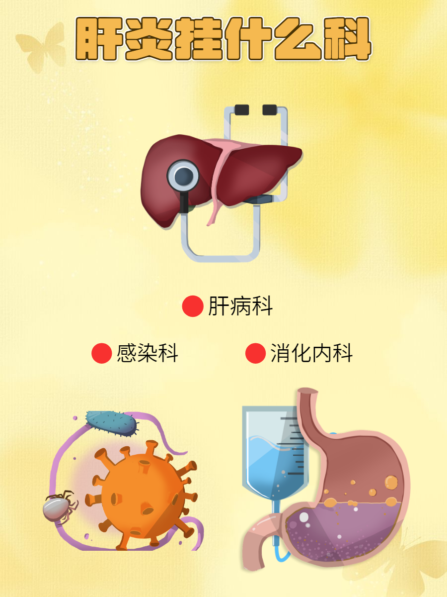 肝脏挂什么科图片