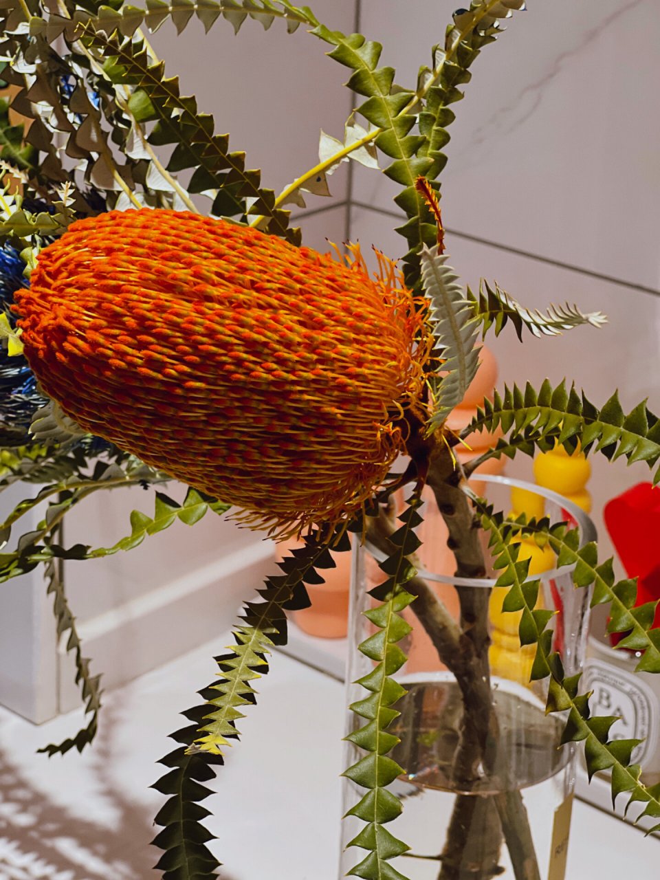 南非佛塔花 黄金佛塔也是一种针垫花,非洲进口干花,花朵象插满针的