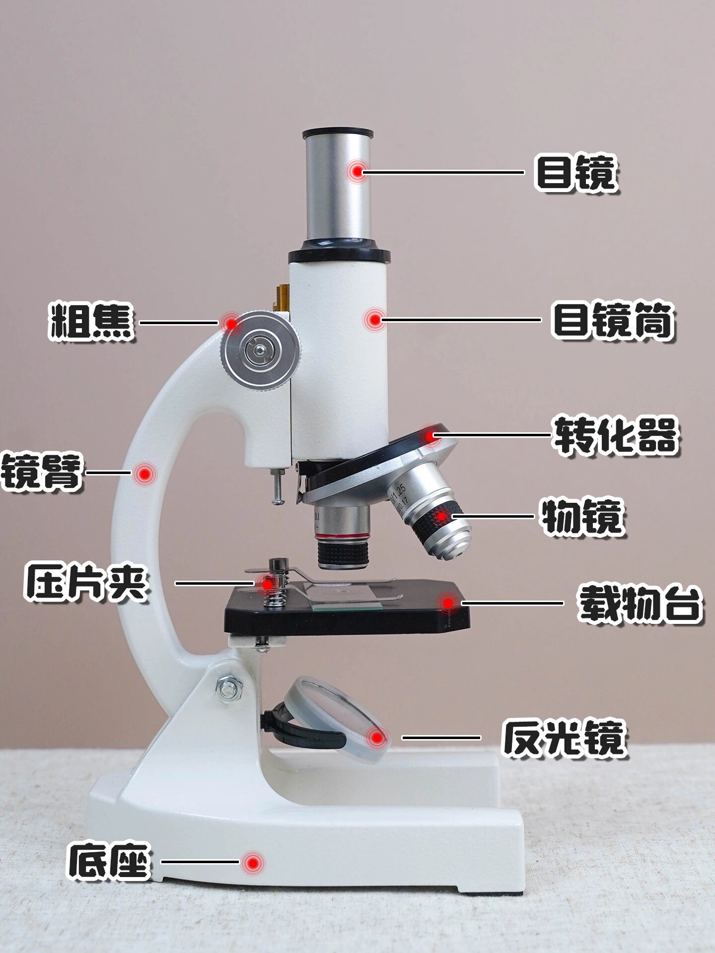 yy.vip易游-定西公路事业发展中心项目办临时党支部以“红色引擎”驱动工程建设提速增效