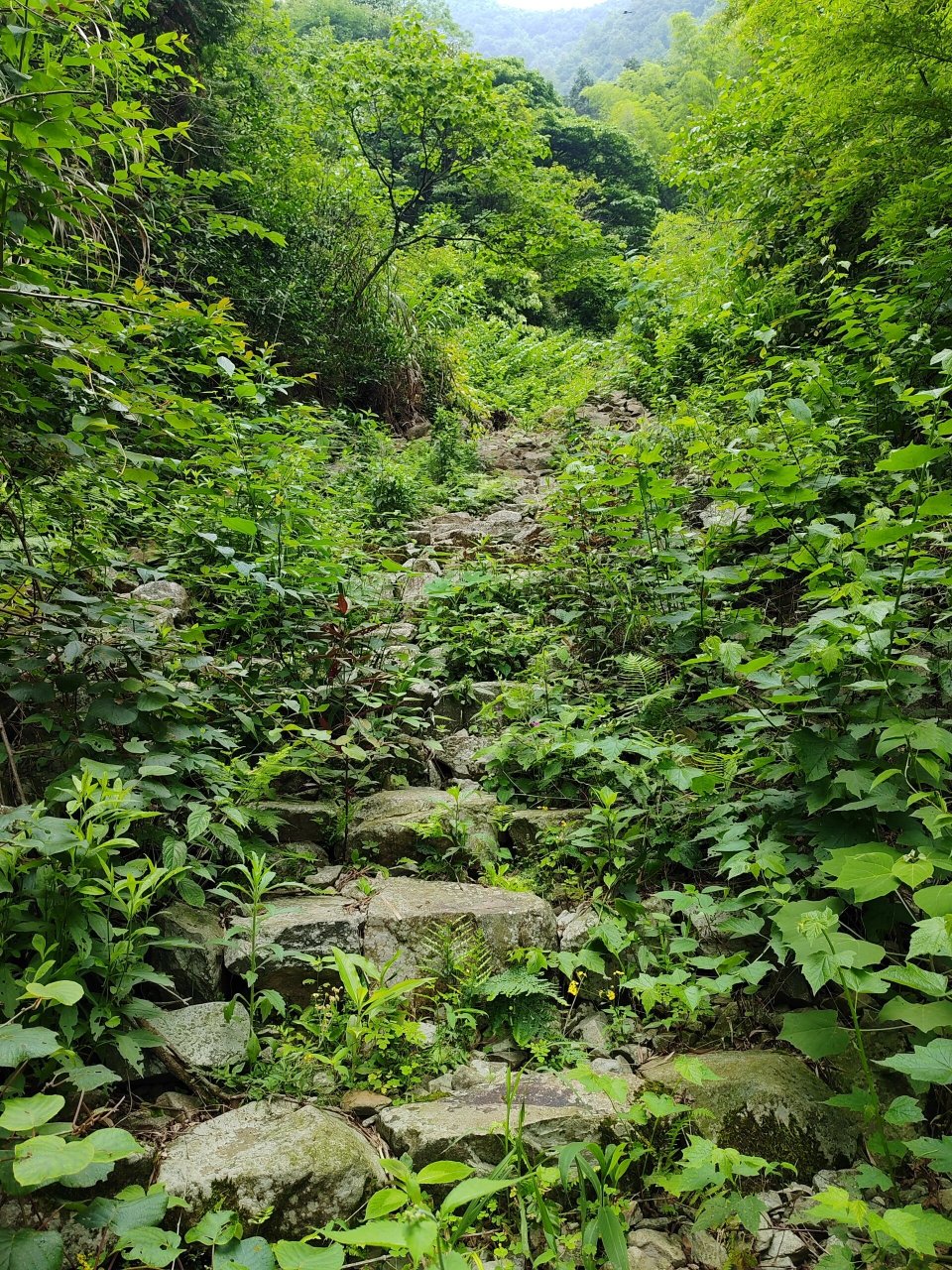 衢江畏岭古道 有些耗体力,全是上坡的路…遗憾的是没到界碑的地方