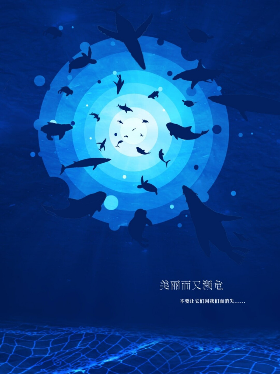 保护濒危海洋生物 海报练习 效果图 创意说明 工具:ps
