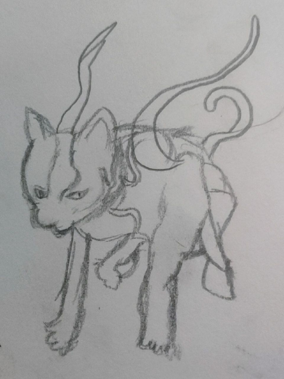 实在没想起来幽冥灵猫怎么画不喜误喷