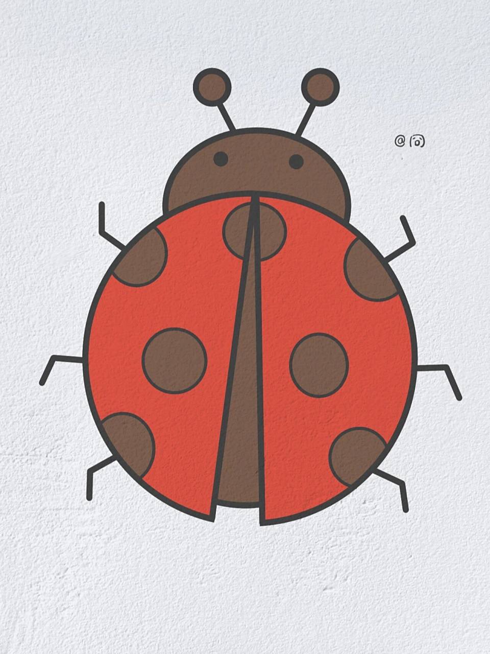 动物简笔画之可爱的瓢虫