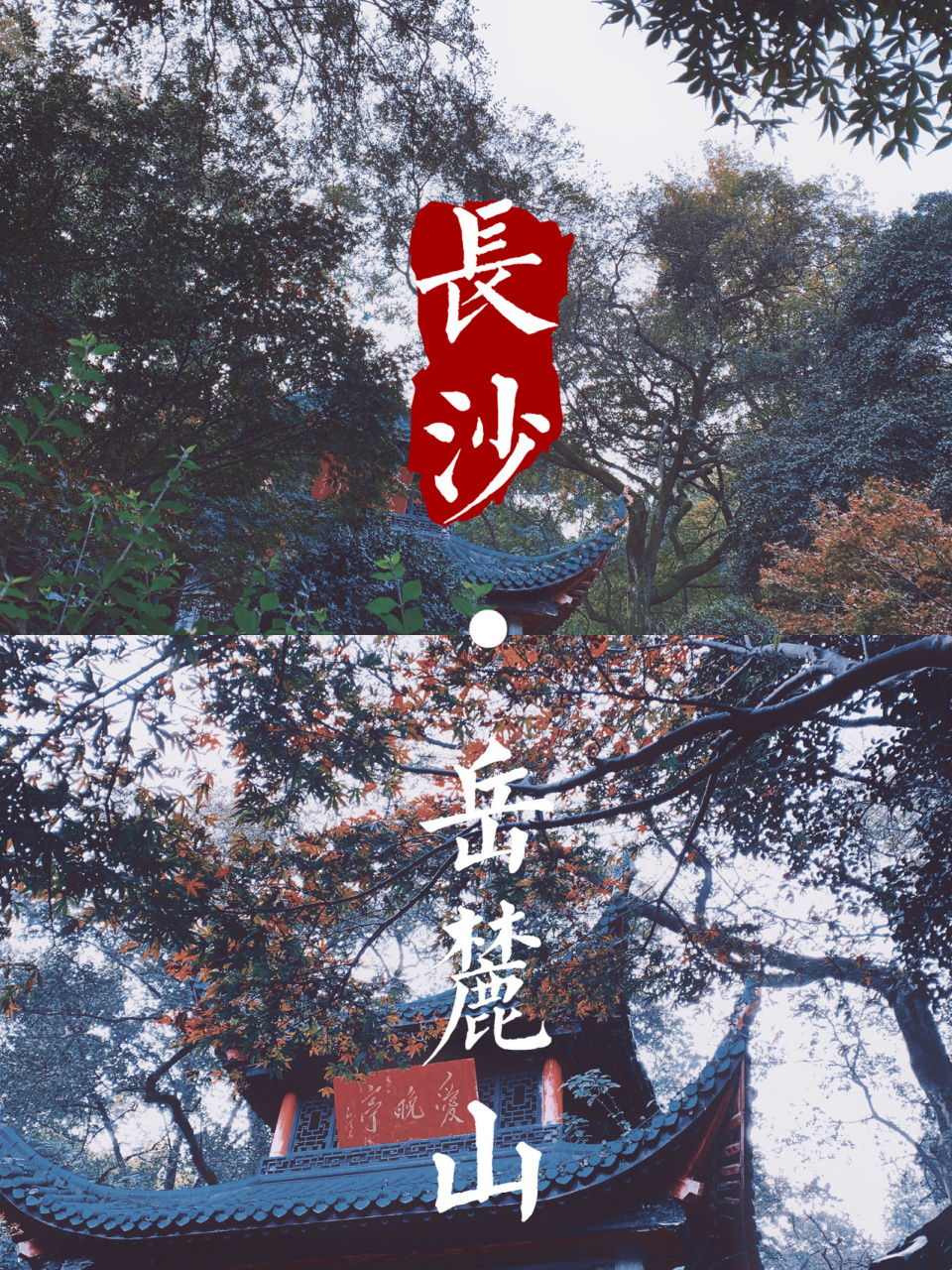 岳麓山 最全攻略 山风景区乃是长沙一个十分有名的旅游胜地,这里的