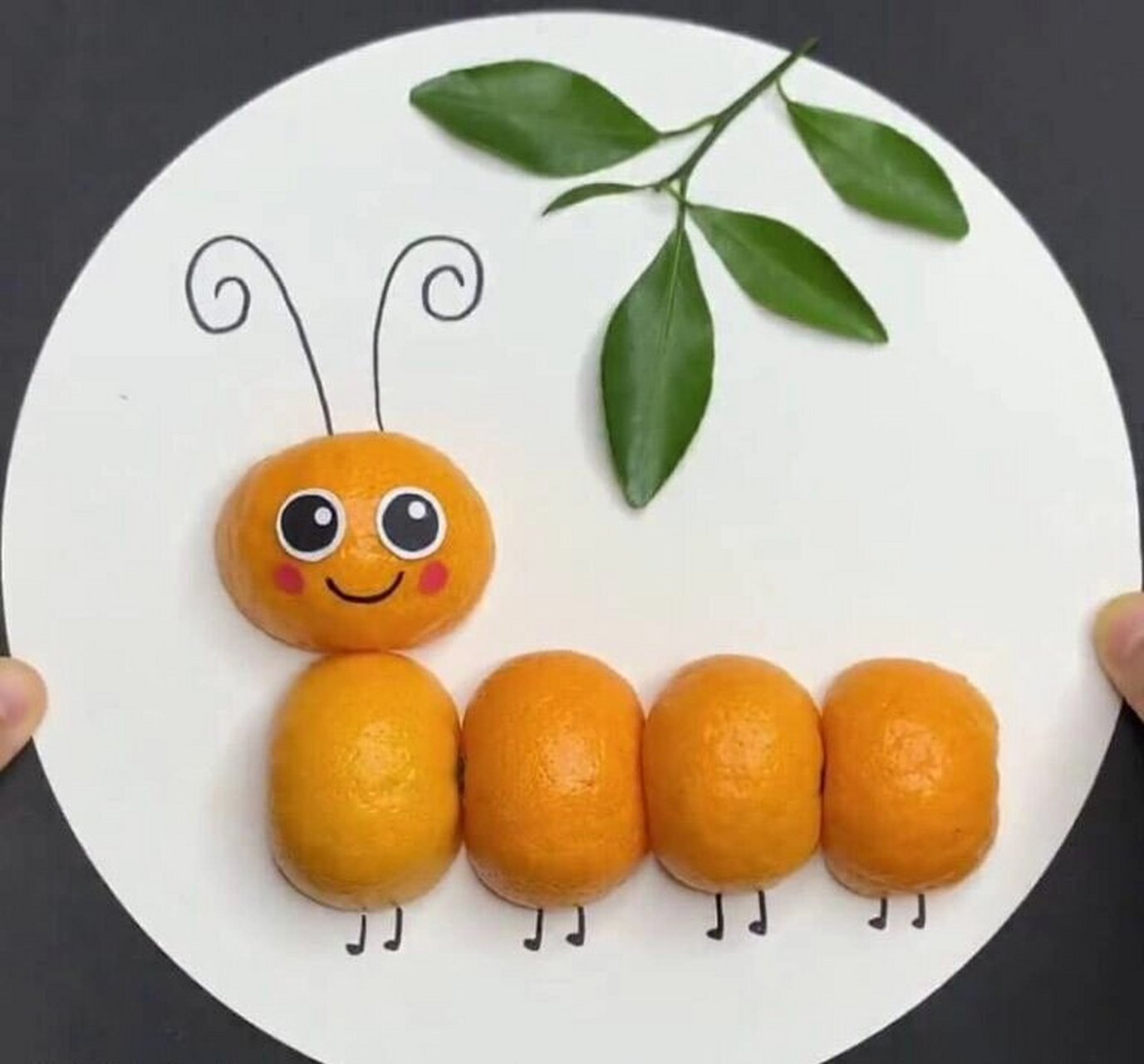 亲子手工 - 用桔子皮制作毛毛虫的方法 - 用桔子皮制作毛毛虫的方法