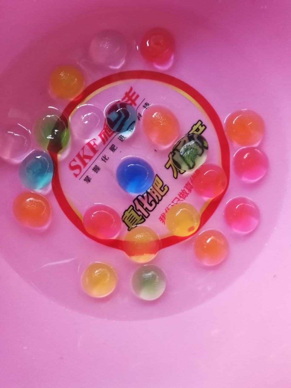 养了一天的水宝宝竟然长这么大 养了一天的水宝宝竟然长这么大