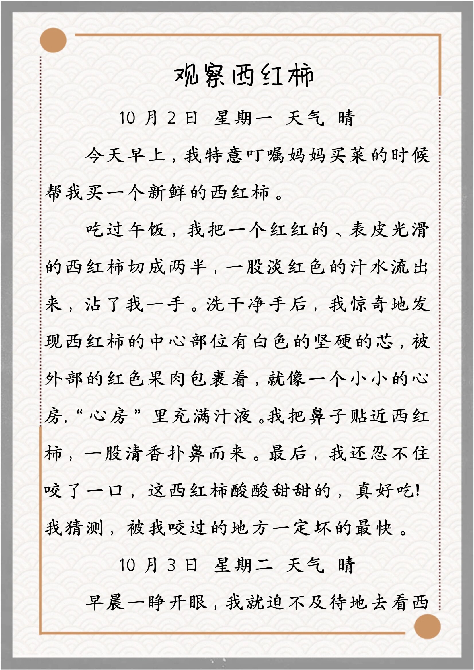 四年级语文园地三习作观察日记《西红柿的变化》小学600字观察日 