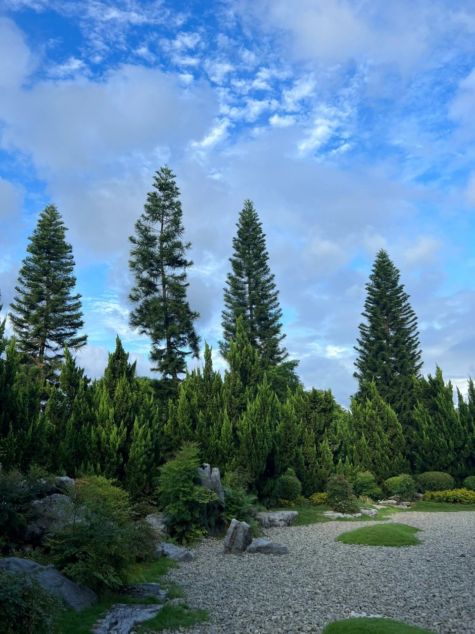 青秀山兰园987215 打车到北门比较近哦～进门一直左走,其中经过