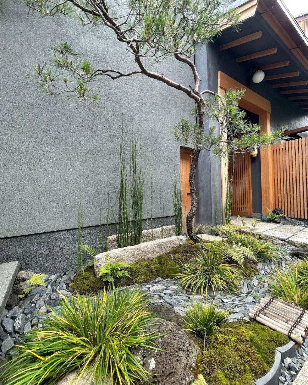 来学简单好打理的入户景观(内附植物清单) 这已经算是一组完整的日式