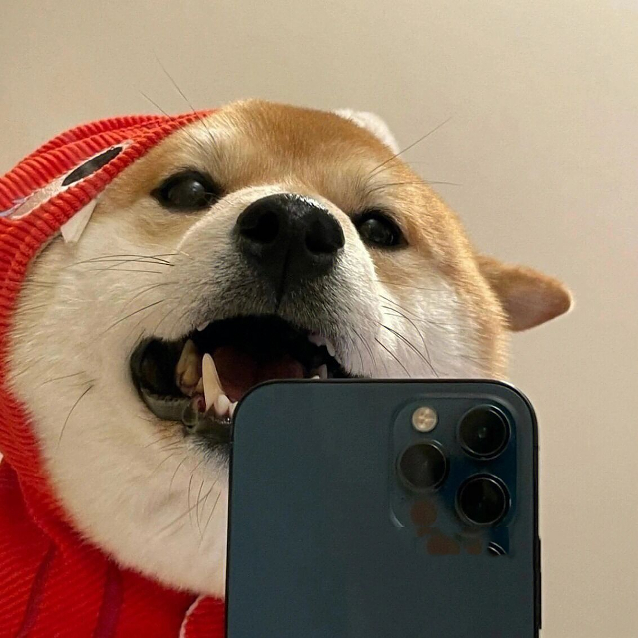 可爱又沙雕的情头合集(1) 10.