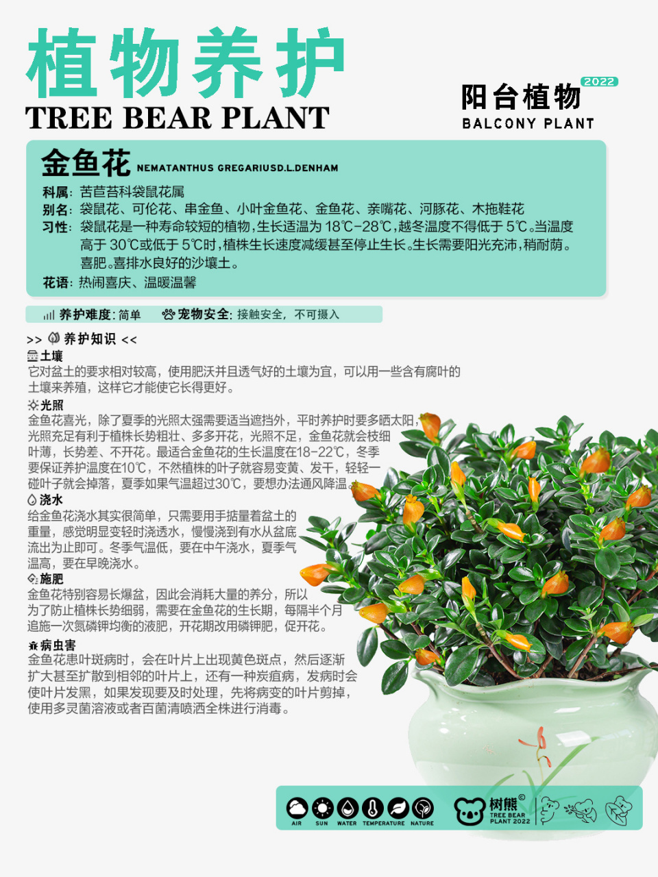 金鱼花的养护方法技巧 金鱼花该怎么养才能养得好?
