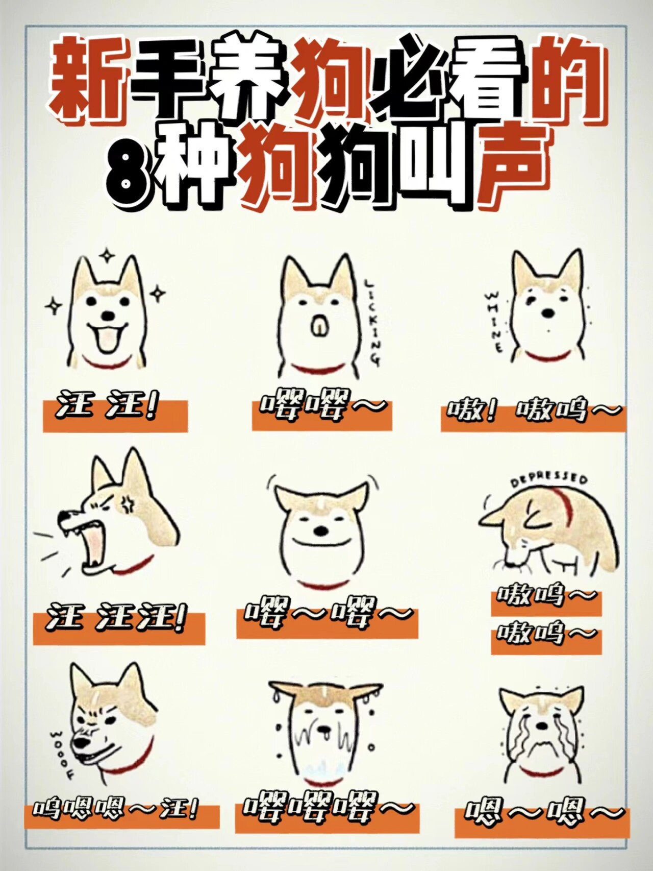 小狗网络叫法=小狗狗网络用词是什么