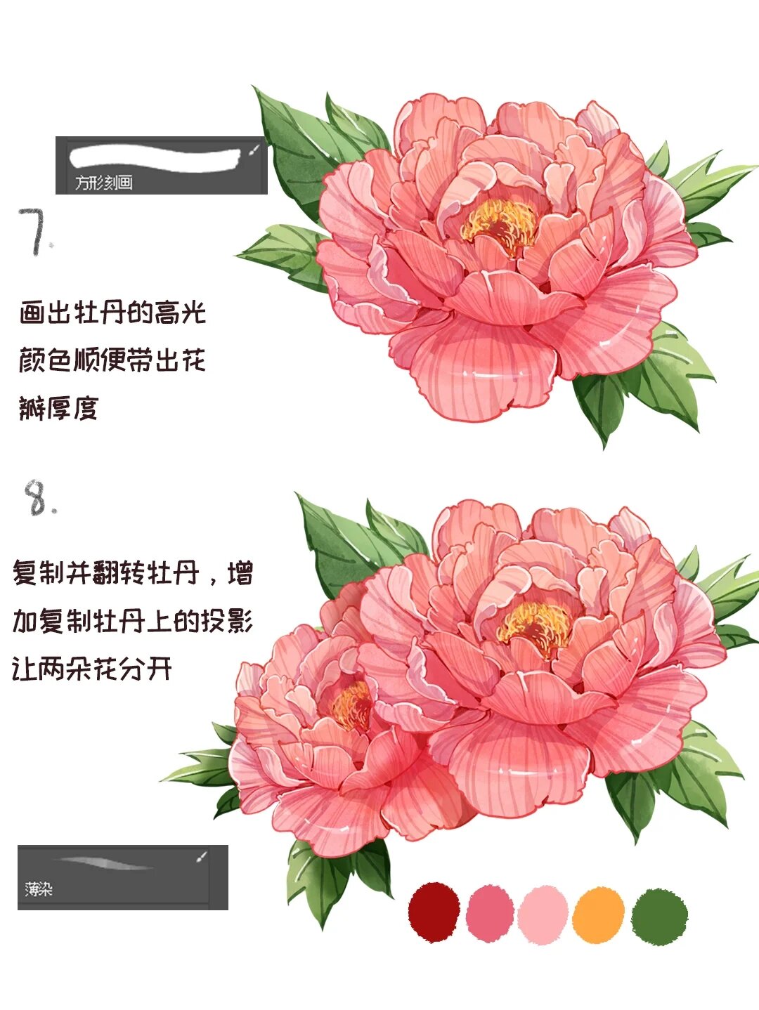 插画分解教程之牡丹花画法(附笔刷)