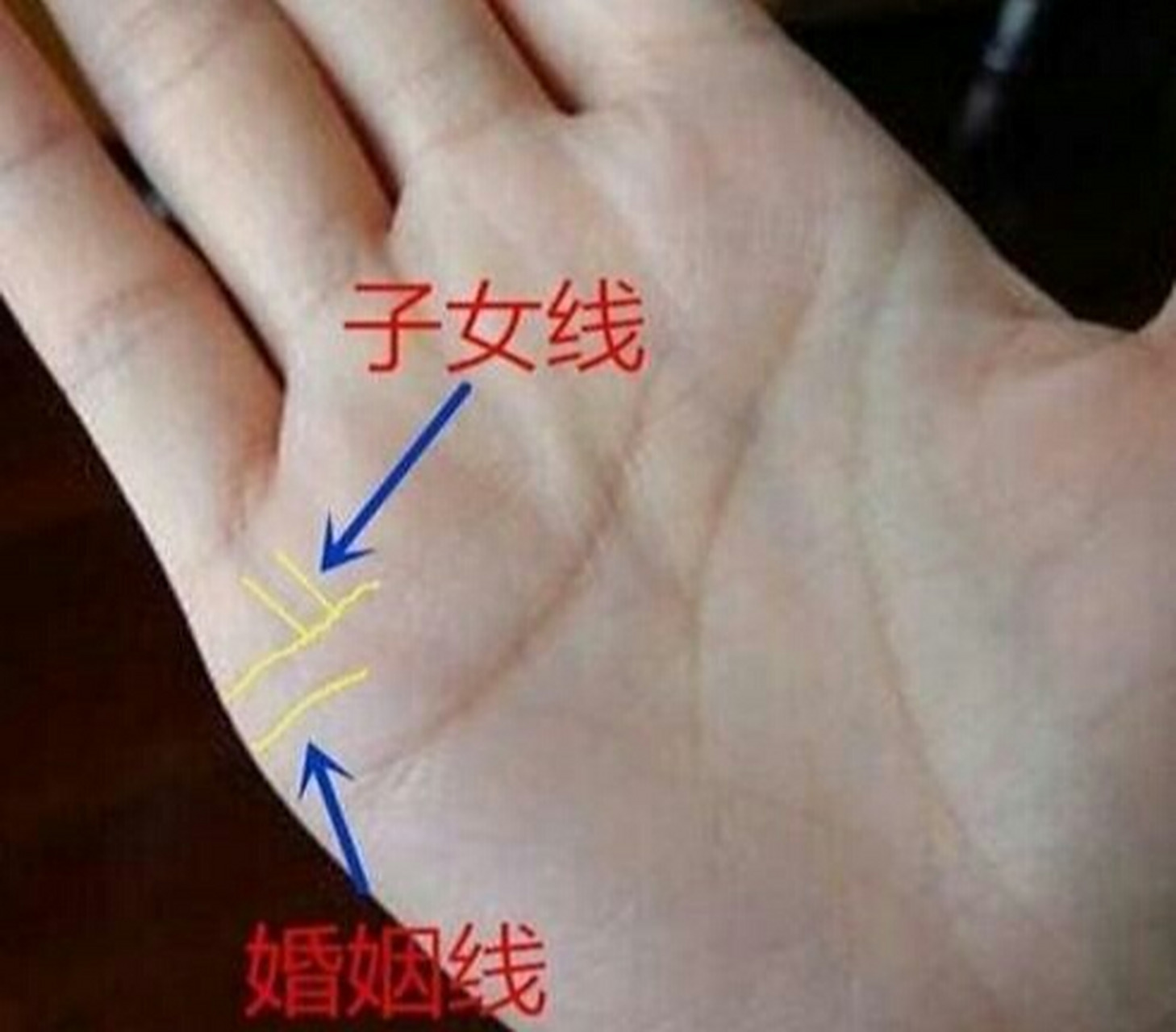 一般来说,子女线在女性手上会更为明显,而只有当一个男人深爱他的孩子