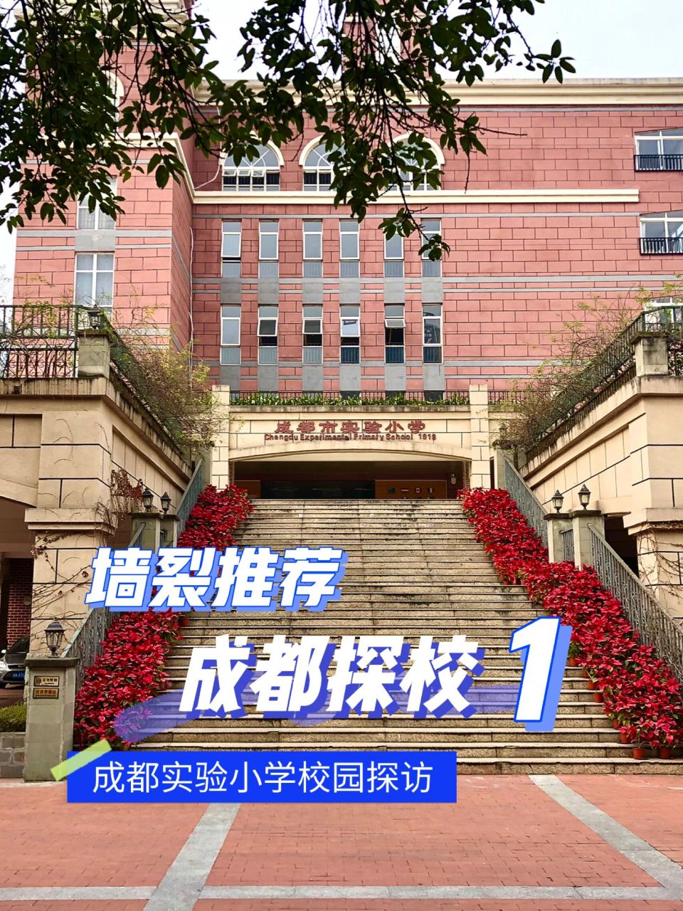 成都五朵金花小学图片