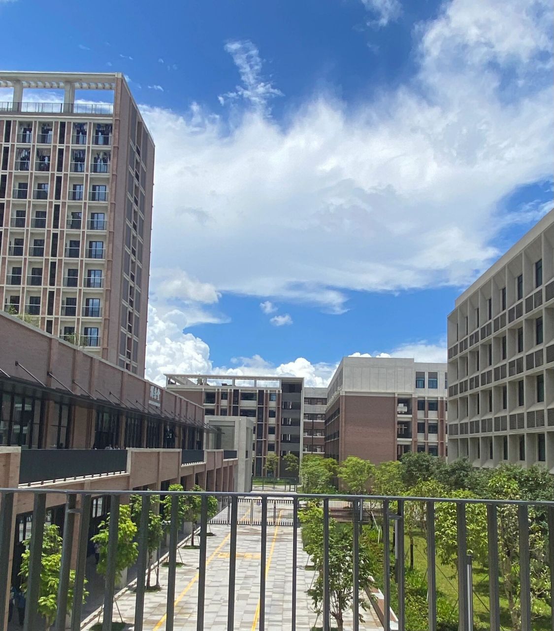 深圳市高级中学高中园 素随来我们深高园呢!美丽的校园 素随要来 捞捞