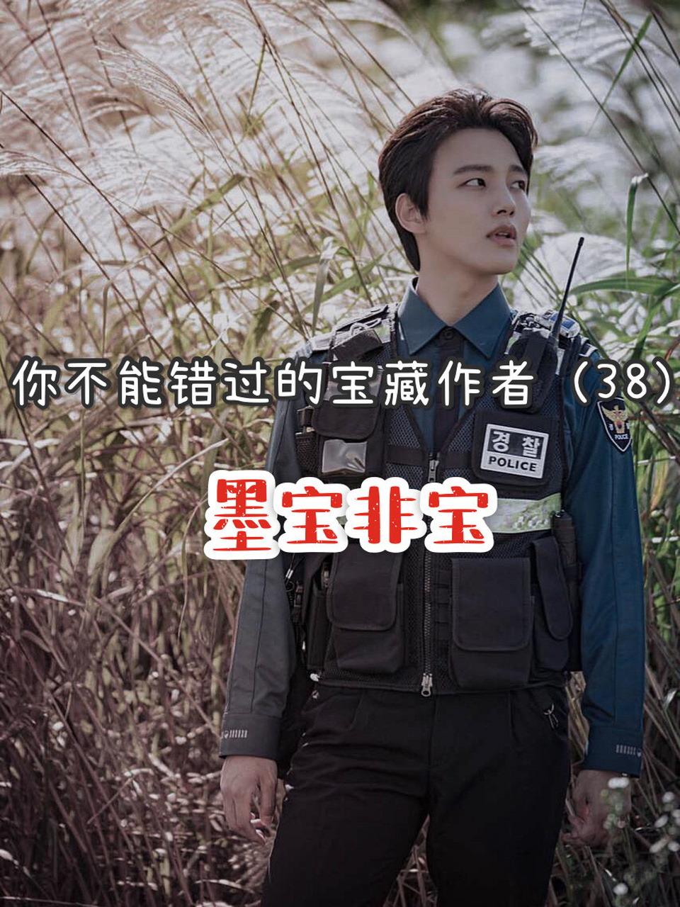 你不能错过的宝藏作者(38)墨宝非宝 哈喽姐妹们,我是阿鱼95 河南的