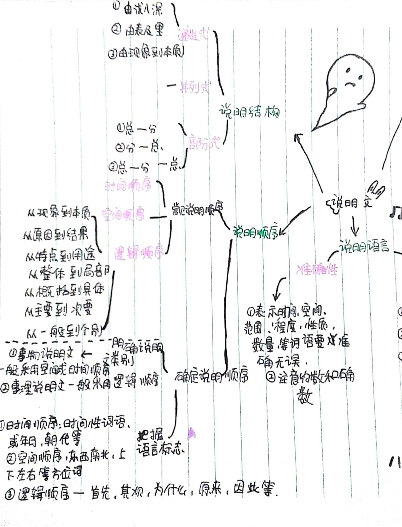 说明文的思维导图内容图片