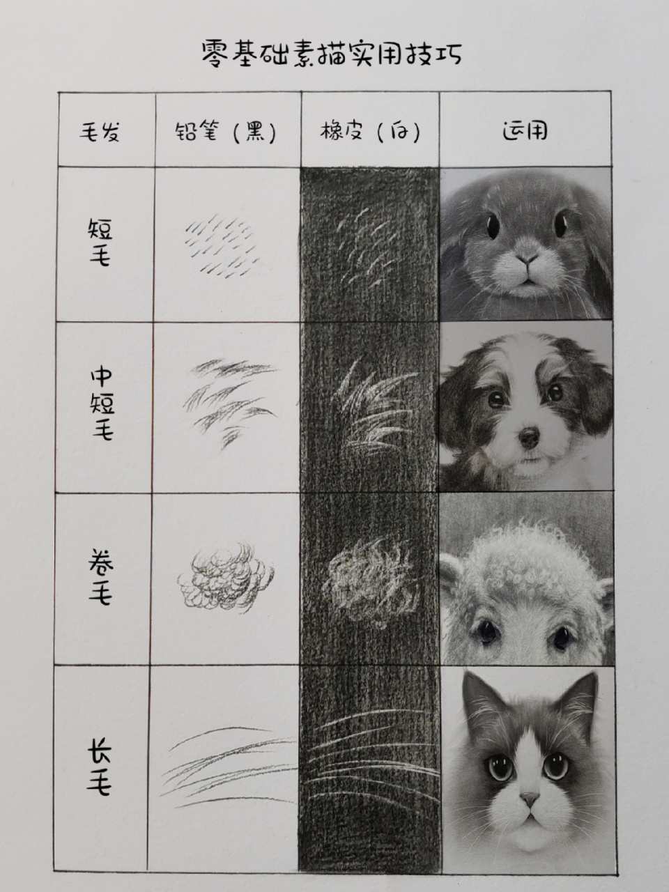 零基础素描实用技巧 | 动物毛发画法get93
