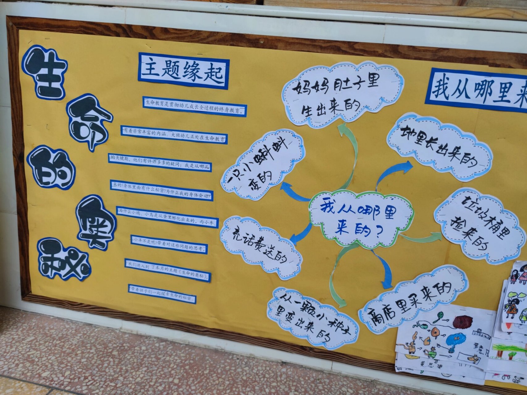 主题墙:生命的奥秘 幼儿园大班主题墙《生命的奥秘》