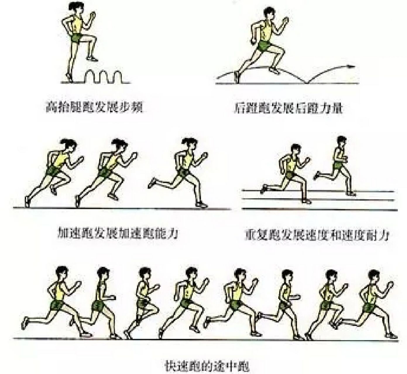 正确的短跑姿势图解图片