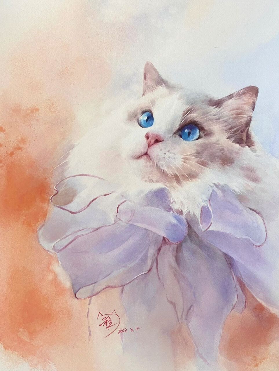 《布偶貂蝉》蝴蝶结版水彩画绘画示范步骤图 高颜值 低智商 就喜欢