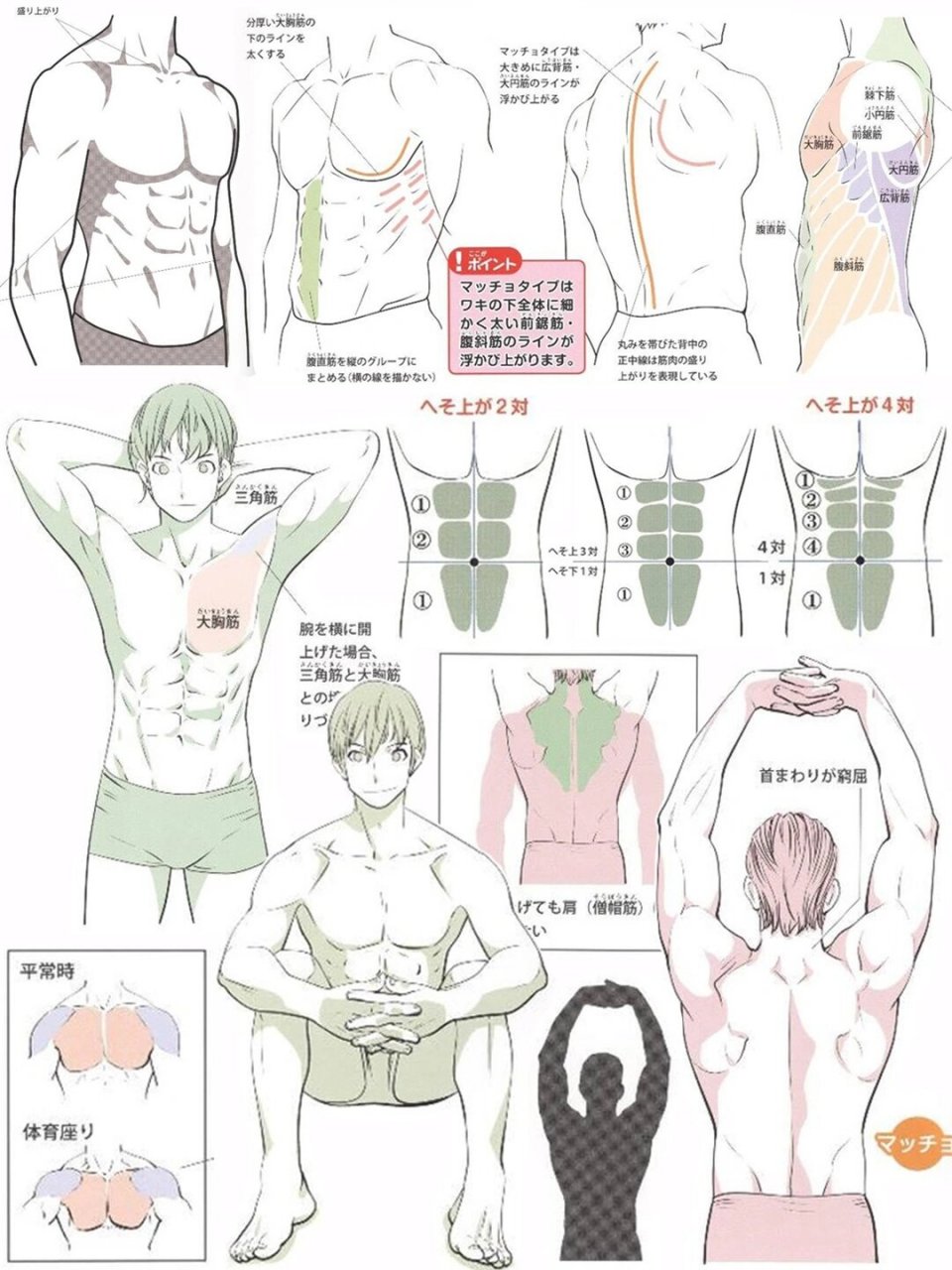 帅气的男性腹肌画法,还得看这套教程 分享一组男生的肌肉画法,学会画