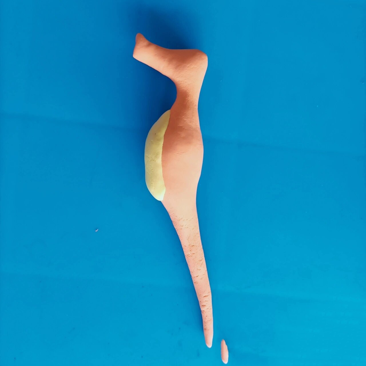 粘土小动物制作过程(海马)