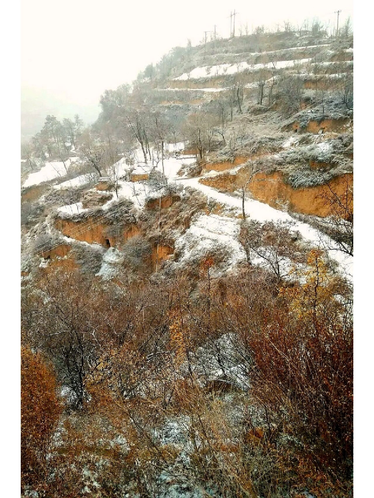 陕北窑洞雪景图片图片