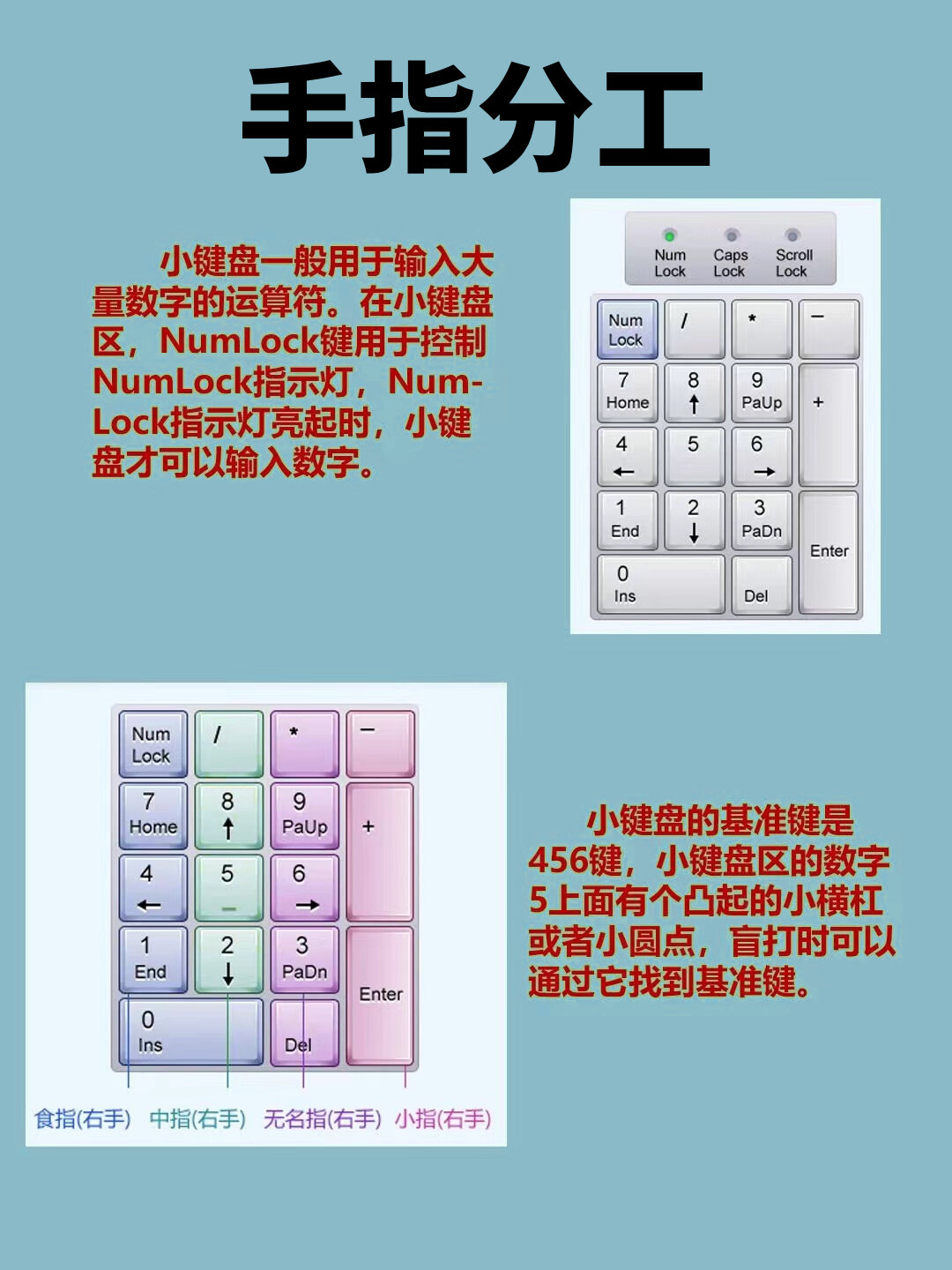 正确的手指键位,是新人学习电脑办公的?